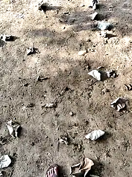 Ishan003 online show from September 12, 2025, 1:38 am