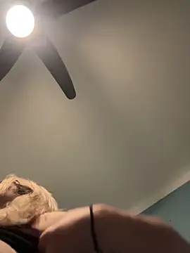 Snapshot of Annelibre chatting on November 14, 2025, 10:07 pm Annelibre online show from November 14, 2025, 10:07 pm