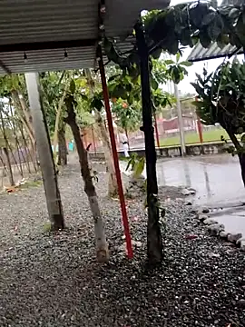 Snapshot of BeetledFlouter12 chatting on September 26, 2025, 7:07 pm BeetledFlouter12 online show from September 26, 2025, 7:07 pm