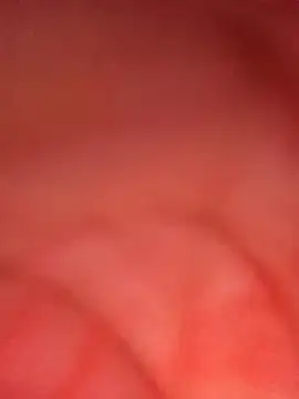 Snapshot of ambarlennoix chatting on October 9, 2025, 8:01 am ambarlennoix online show from October 9, 2025, 8:01 am