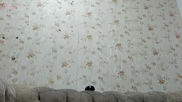 fer dz online show from January 31, 2025, 11:56 am