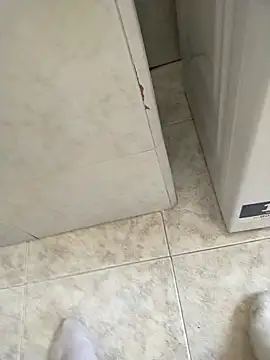 user 662 online show from February 20, 2026, 11:43 am