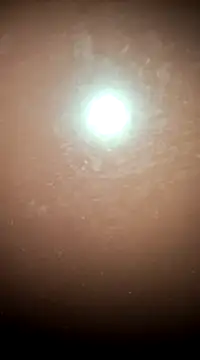 tall nangu online show from February 21, 2025, 6:04 pm