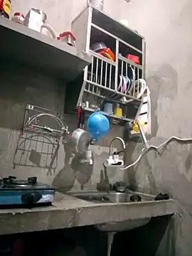 VyingAviary online show from February 11, 2025, 4:01 am