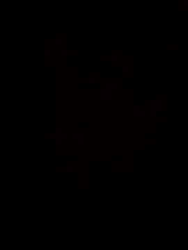 maripah online show from July 22, 2026, 12:57 am