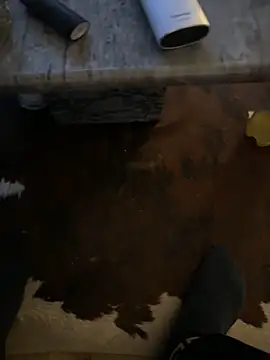 Snapshot of Tyson8897 chatting on January 7, 2026, 7:55 am Tyson8897 online show from January 7, 2026, 7:55 am