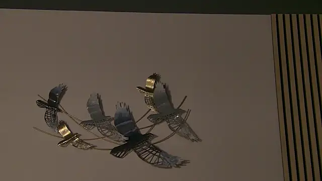 AngeliqueSkye online show from October 15, 2025, 3:17 am