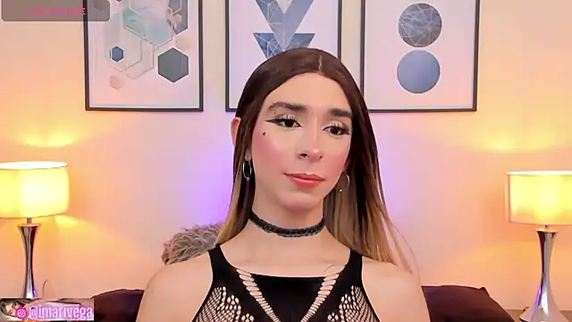 Snapshot of ariivega chatting on December 24, 2024, 8:11 am ariivega online show from December 24, 2024, 8:11 am