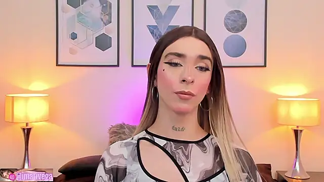 Snapshot of ariivega chatting on January 20, 2025, 2:01 am ariivega online show from January 20, 2025, 2:01 am