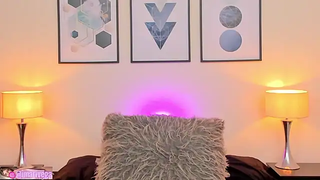 Snapshot of ariivega chatting on January 29, 2025, 1:05 am ariivega online show from January 29, 2025, 1:05 am