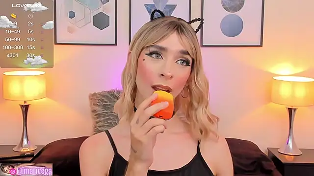 Snapshot of ariivega chatting on February 12, 2025, 1:30 am ariivega online show from February 12, 2025, 1:30 am