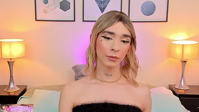 Snapshot of ariivega chatting on February 27, 2025, 2:53 am ariivega online show from February 27, 2025, 2:53 am