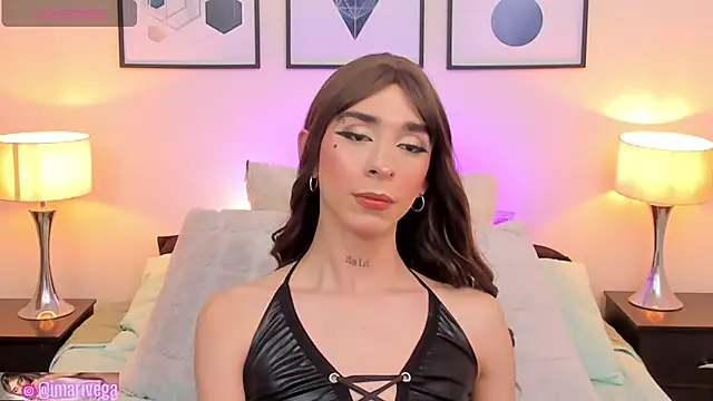 Snapshot of ariivega chatting on March 13, 2025, 3:11 am ariivega online show from March 13, 2025, 3:11 am