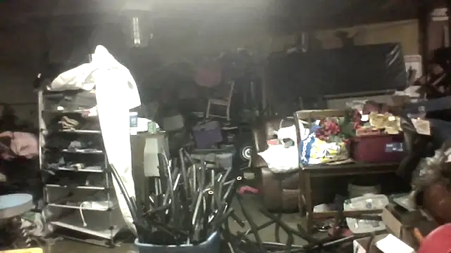 lilbishmiss online show from March 11, 2026, 4:51 am