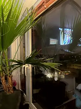 Snapshot of pillepallex84x chatting on January 9, 2026, 4:54 pm pillepallex84x online show from January 9, 2026, 4:54 pm