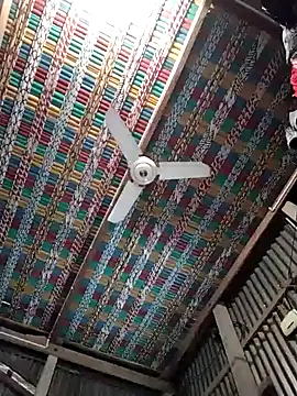 Koyel-Sen online show from January 22, 2025, 7:03 am