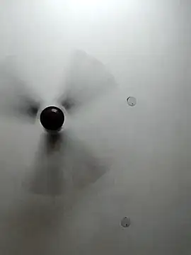 cutiecatty21 online show from October 23, 2025, 10:36 am