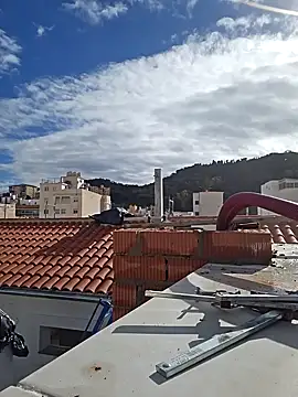 seloloko20 online show from January 28, 2025, 10:56 am