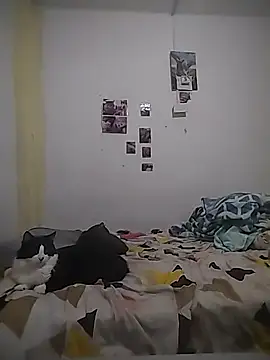 Snapshot of safira_hot chatting on February 16, 2026, 12:40 am safira hot online show from February 16, 2026, 12:40 am