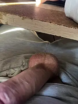 toto36643 online show from February 3, 2026, 8:30 am