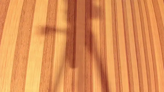 Daisy  rose online show from February 22, 2025, 11:02 am