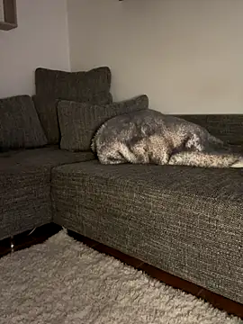 Snapshot of godspot_ chatting on October 30, 2025, 8:20 pm godspot  online show from October 30, 2025, 8:20 pm