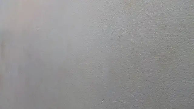 Snapshot of JESSYCORTES chatting on January 15, 2025, 8:48 pm JESSYCORTES online show from January 15, 2025, 8:48 pm