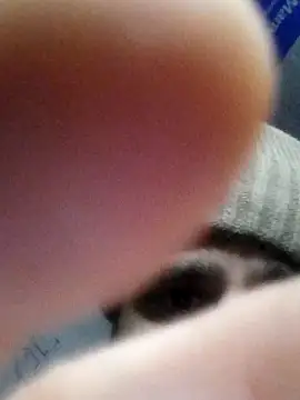 fitguy7124u online show from December 2, 2025, 11:15 am