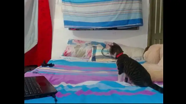 perverted couple - online show from December 23, 2024, 1:08 am