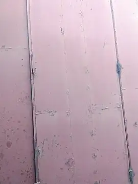 Polygamist online show from December 16, 2025, 7:46 am