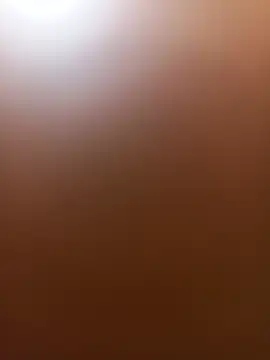 wildfox566 online show from June 14, 2026, 3:52 am