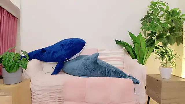 cohaku 329 online show from January 9, 2025, 1:13 pm