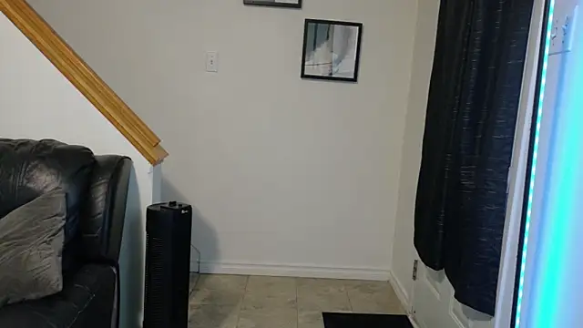 Thekodyy online show from November 17, 2025, 12:33 pm