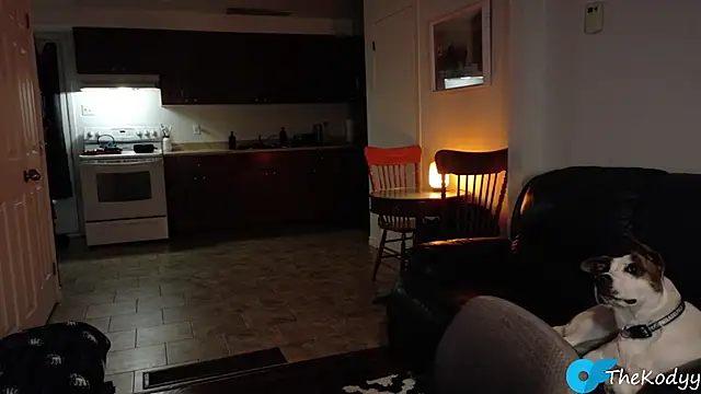 Thekodyy online show from January 9, 2026, 6:27 am