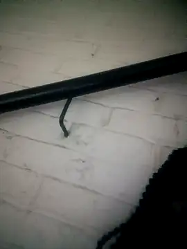 Shria107 online show from February 20, 2026, 11:49 pm