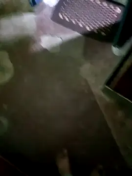 InboardHasek online show from December 5, 2024, 1:28 pm