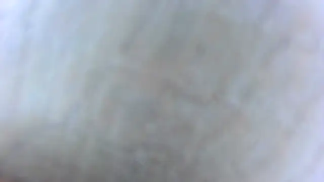 Snapshot of BRONZE20K chatting on January 23, 2025, 11:37 am BRONZE20K online show from January 23, 2025, 11:37 am