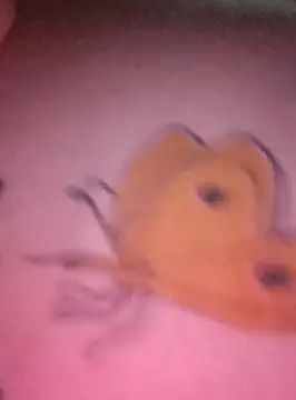 Snapshot of Nadia-2 chatting on January 24, 2025, 12:20 am Nadia-2 online show from January 24, 2025, 12:20 am