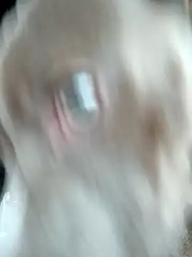 hoesinthishouse78 online show from November 22, 2025, 8:52 pm