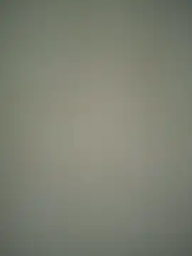 ScarletVelvetX online show from February 22, 2026, 3:07 am