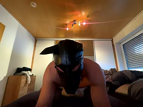 PlayDog123 online show from January 11, 2026, 1:49 pm