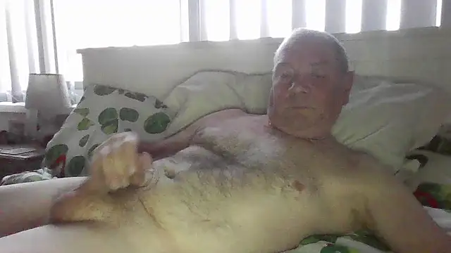 gibbo62 online show from December 16, 2025, 3:50 pm