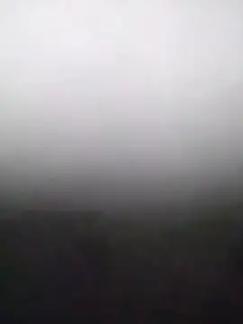 heartless  95 online show from February 15, 2026, 3:36 am