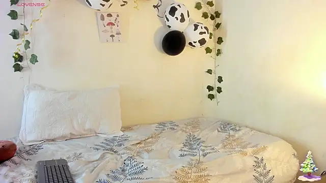 hilary-08 online show from December 4, 2024, 4:54 am