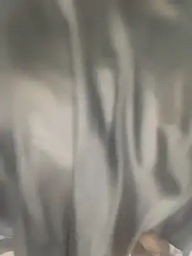 wildsakhi online show from November 17, 2025, 4:57 pm