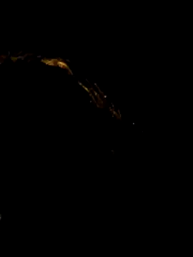 pleasure of life online show from April 19, 2026, 6:10 pm