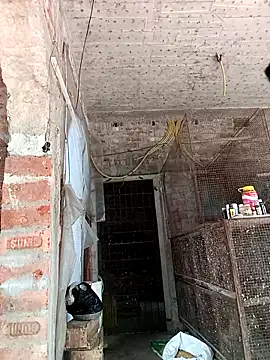 NICK IN online show from February 24, 2025, 7:33 am