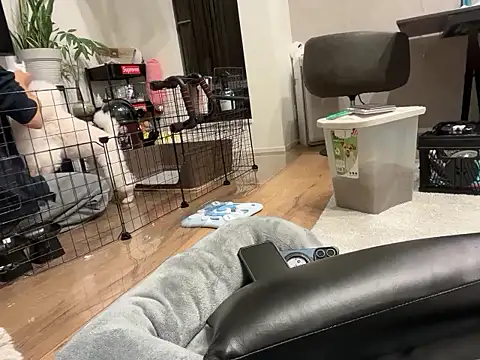 kensnb online show from November 1, 2025, 9:11 am