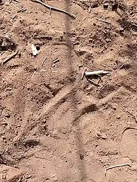 Snapshot of paugrande453 chatting on September 24, 2025, 10:51 am paugrande453 online show from September 24, 2025, 10:51 am