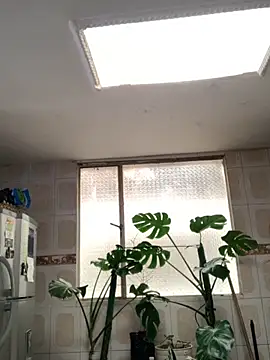 Snapshot of Miss_oliviaa chatting on November 26, 2025, 5:14 pm Miss oliviaa online show from November 26, 2025, 5:14 pm